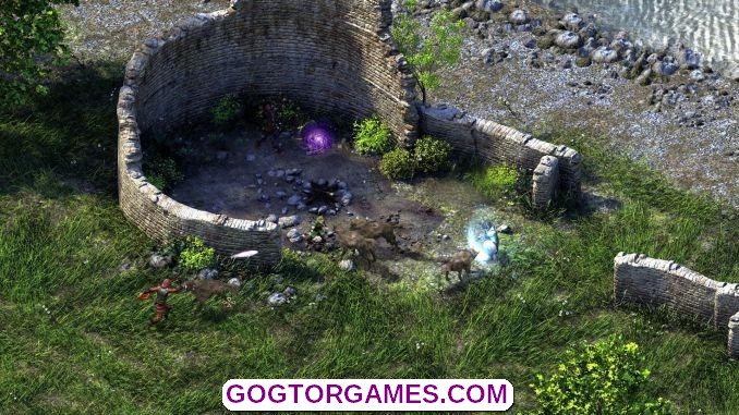 Pillars of Eternity Definitive Edition Free GOG PC Games